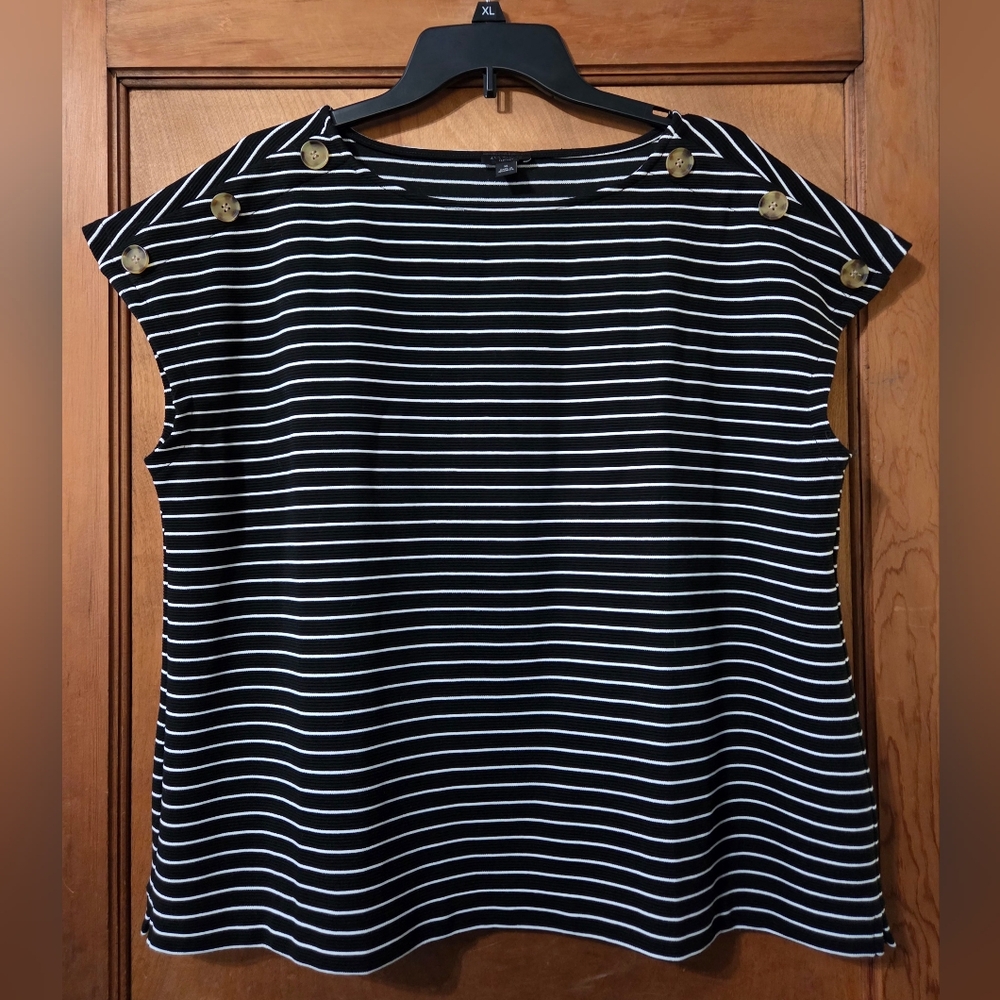NWOT Ann Taylor Striped Boatneck Top, XL